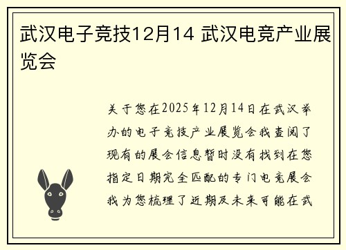 武汉电子竞技12月14 武汉电竞产业展览会